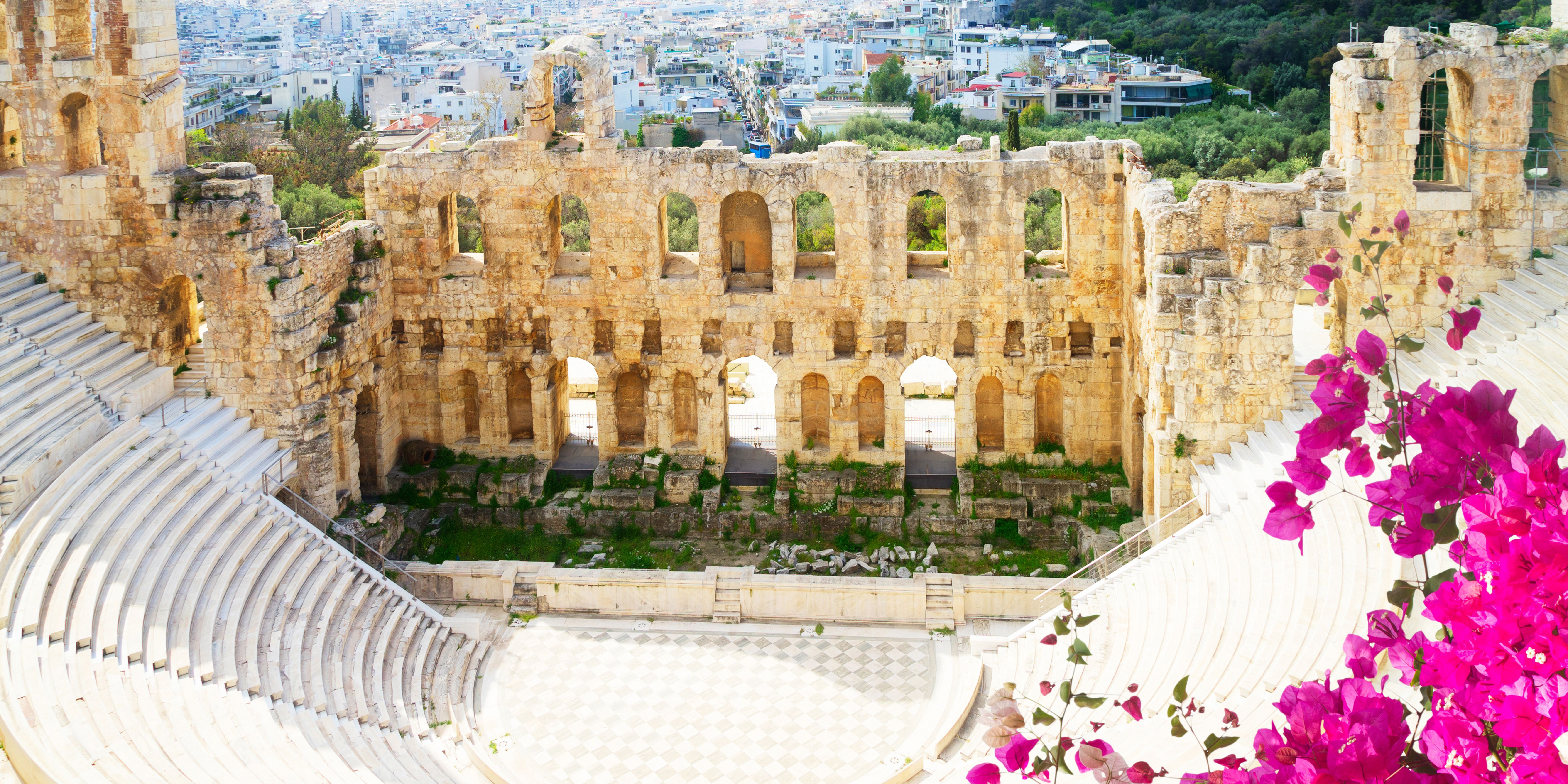 A panoramic view of an ancient amphitheater in Athens, with cityscape in the background and pink flowers in the foreground.